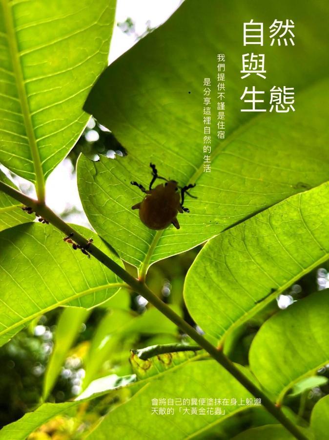 慢水山丘民宿 Slow Water Hill Yuemei Ngoại thất bức ảnh